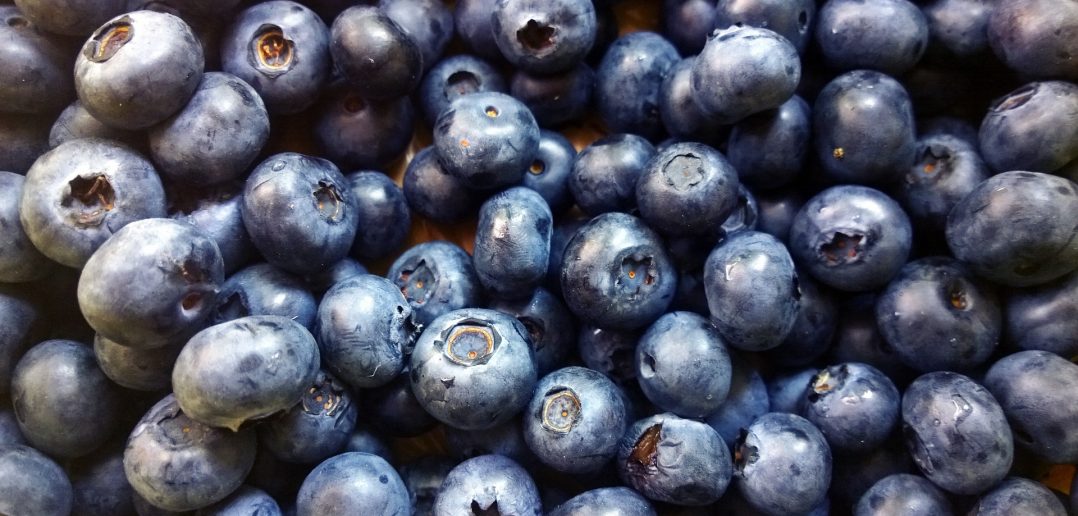 blaubeeren